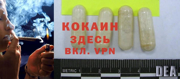 дживик Белокуриха