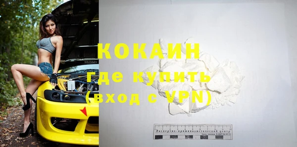дживик Белокуриха