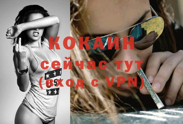 дживик Белокуриха
