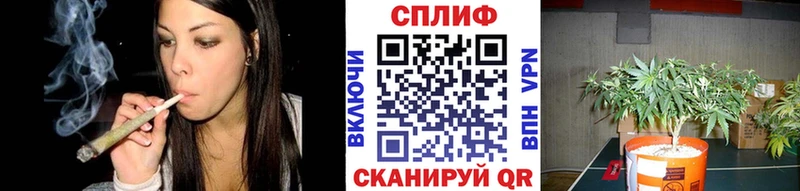 Марихуана семена  Волгореченск 
